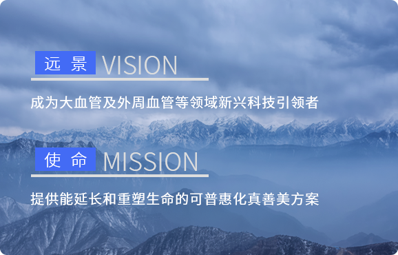 远景和使命